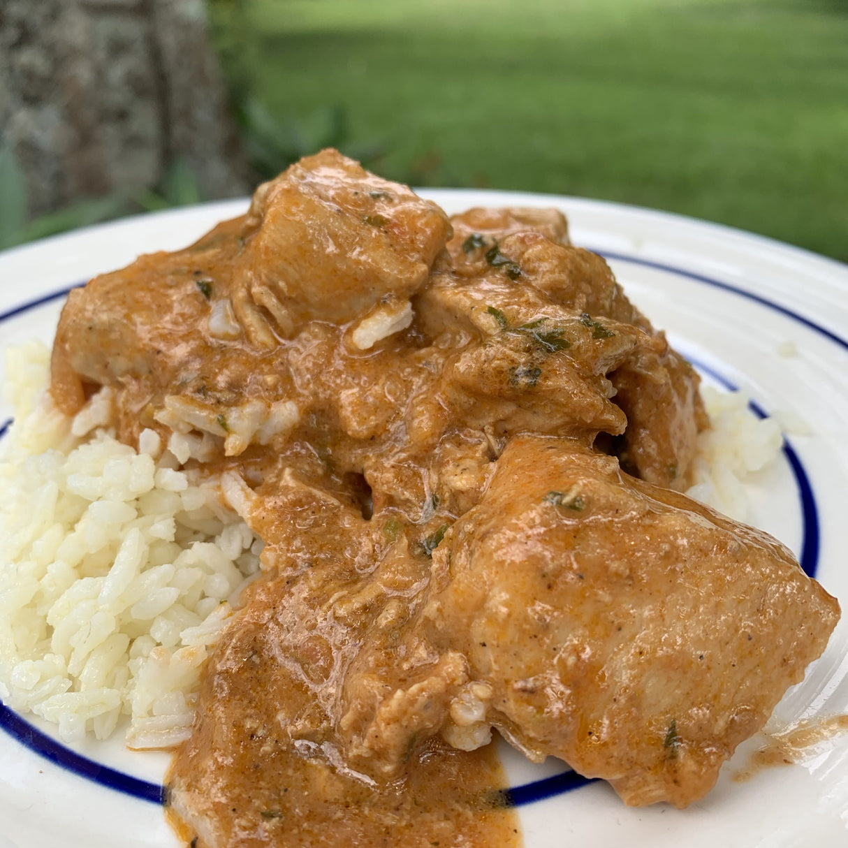 Curry - Ginger Coconut Indian Chicken Curry