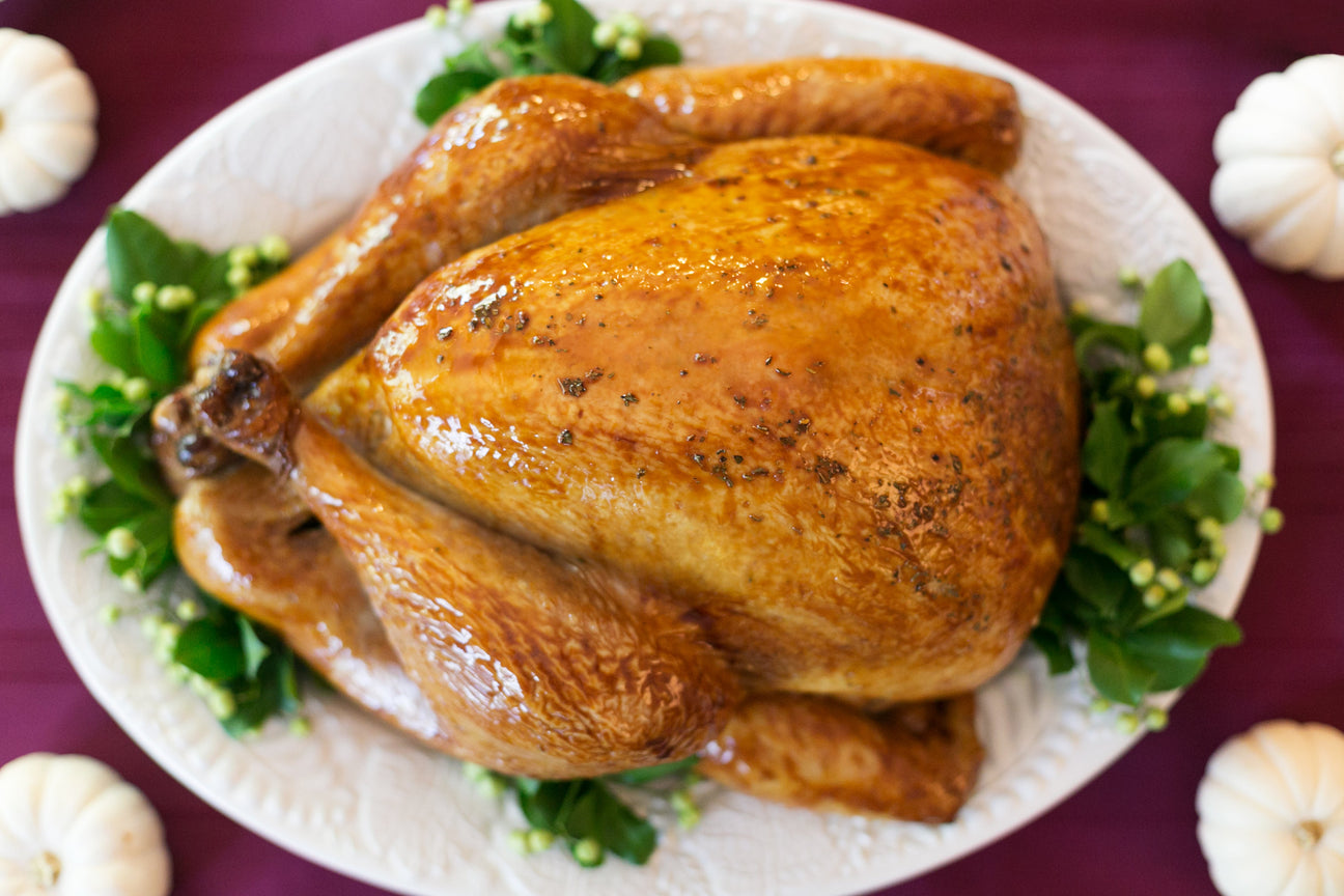 Thanksgiving Turkey
